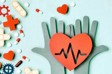 Здоровье сердца: какие диагностические тесты следует пройти? фото